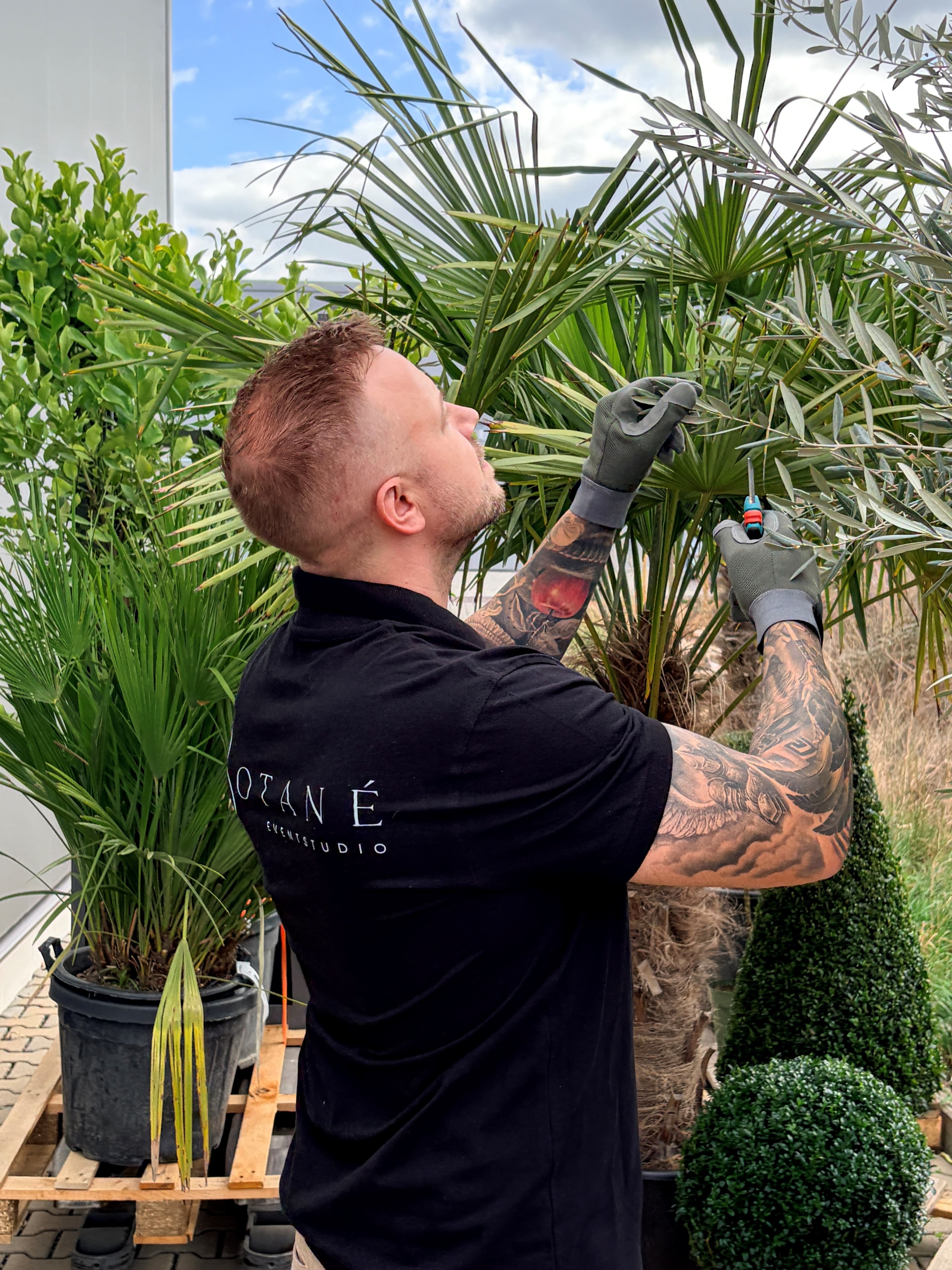Dominik Liebehenz von Botane Eventstudio